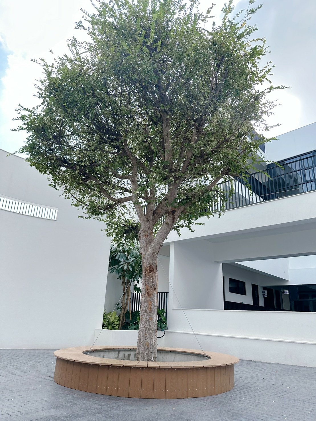 LINE_ALBUM_20241113_250108_33.jpg LINE_ALBUM_20241113_250108_33.jpg