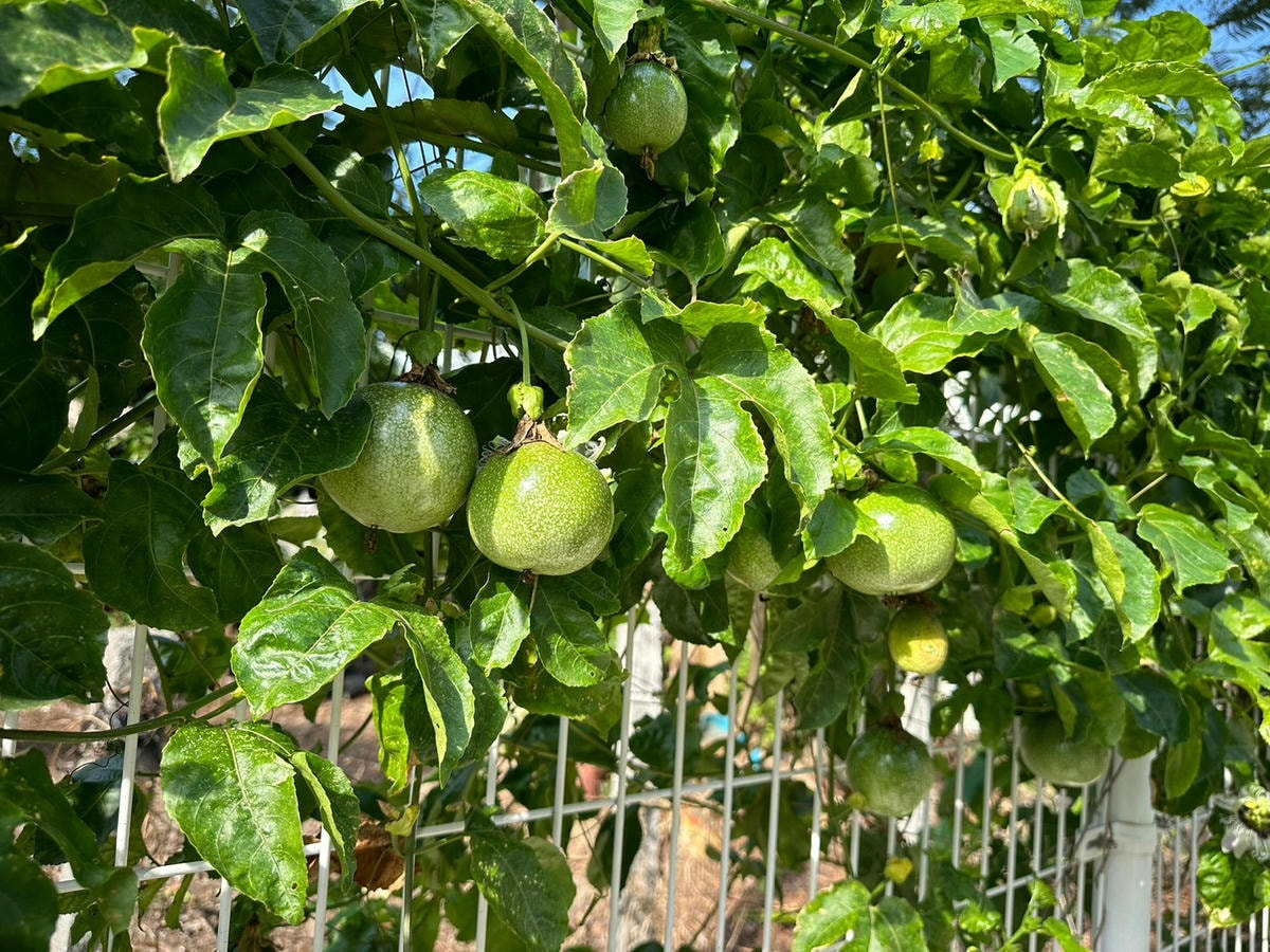 LINE_ALBUM_20241113_250108_6.jpg LINE_ALBUM_20241113_250108_6.jpg