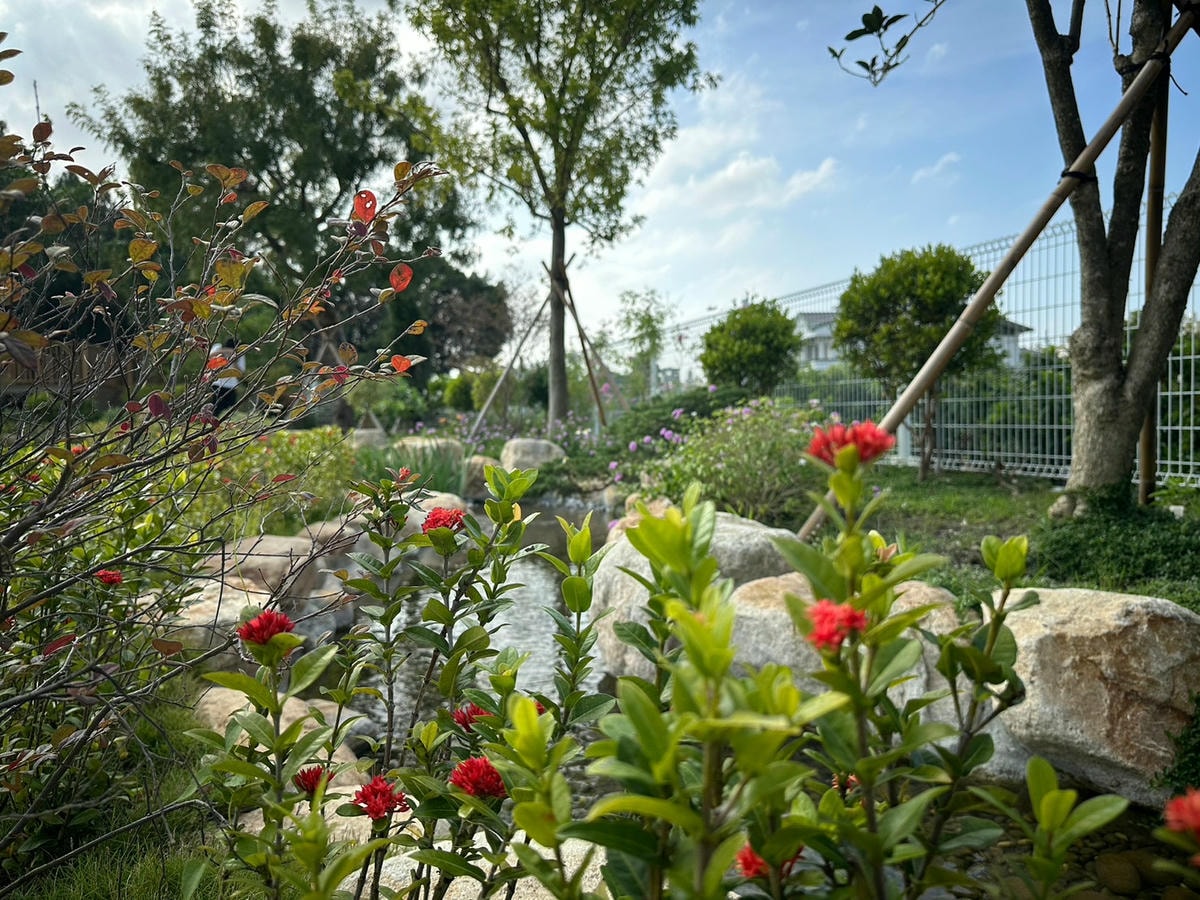 LINE_ALBUM_20241113_250108_5.jpg LINE_ALBUM_20241113_250108_5.jpg