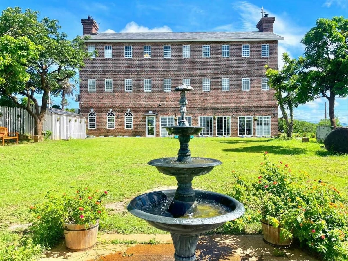 勿忘我_240418_13.jpg 勿忘我_240418_13.jpg