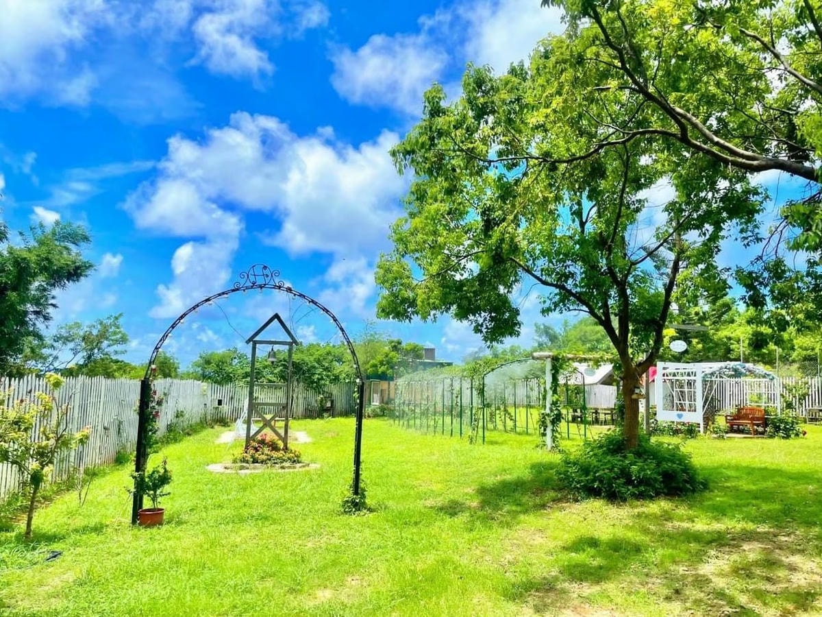 勿忘我_240418_15.jpg 勿忘我_240418_15.jpg