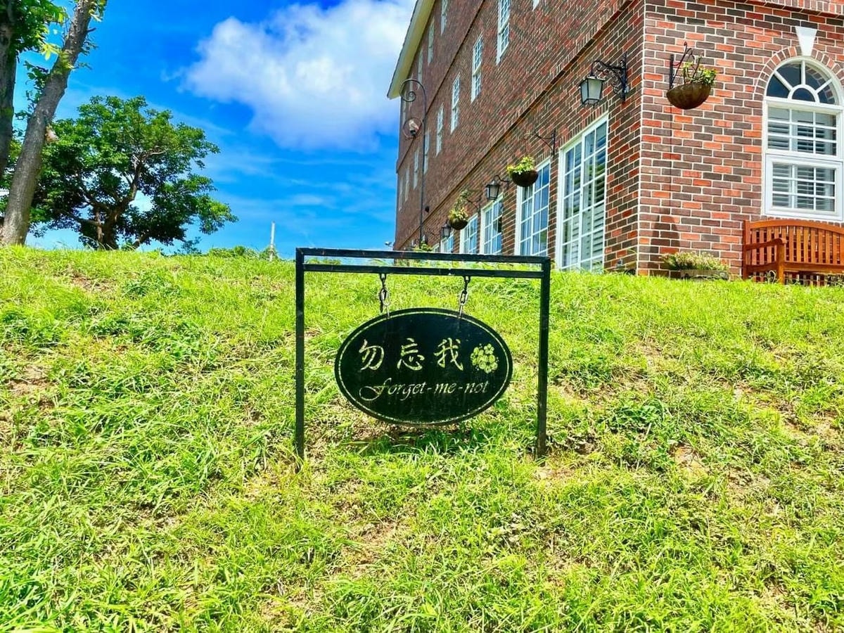 勿忘我_240418_16.jpg 勿忘我_240418_16.jpg