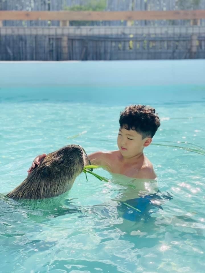 S__40575552.jpg S__40575552.jpg