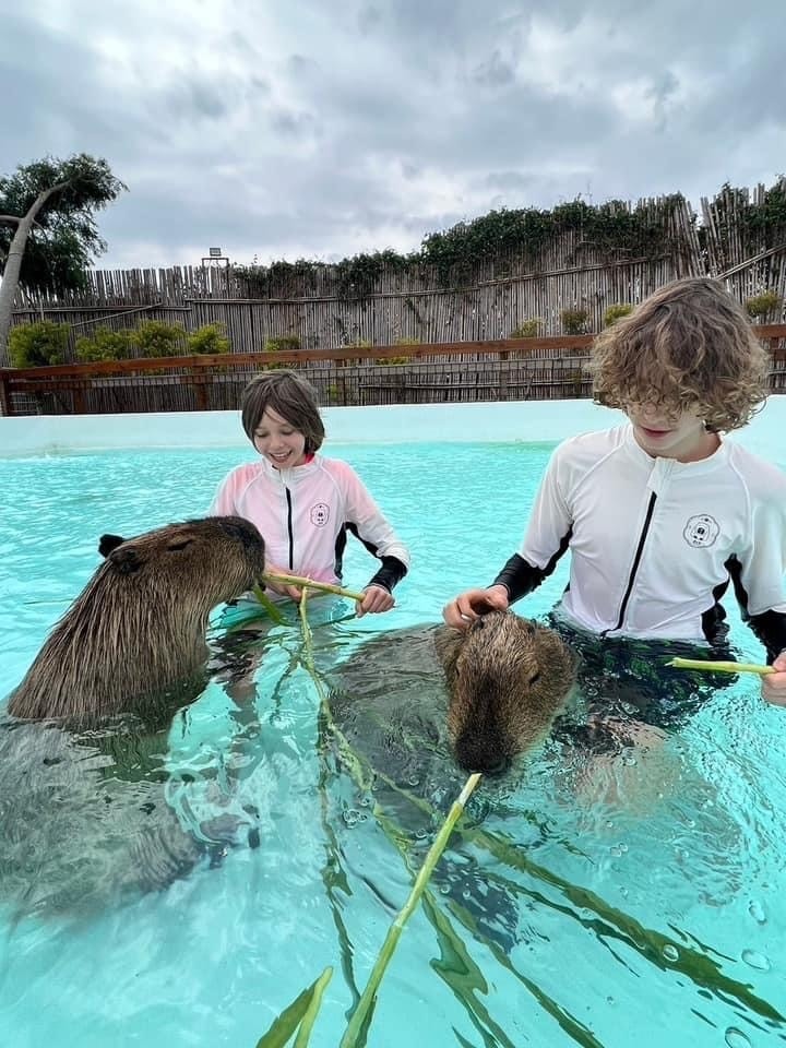 S__40575554.jpg S__40575554.jpg