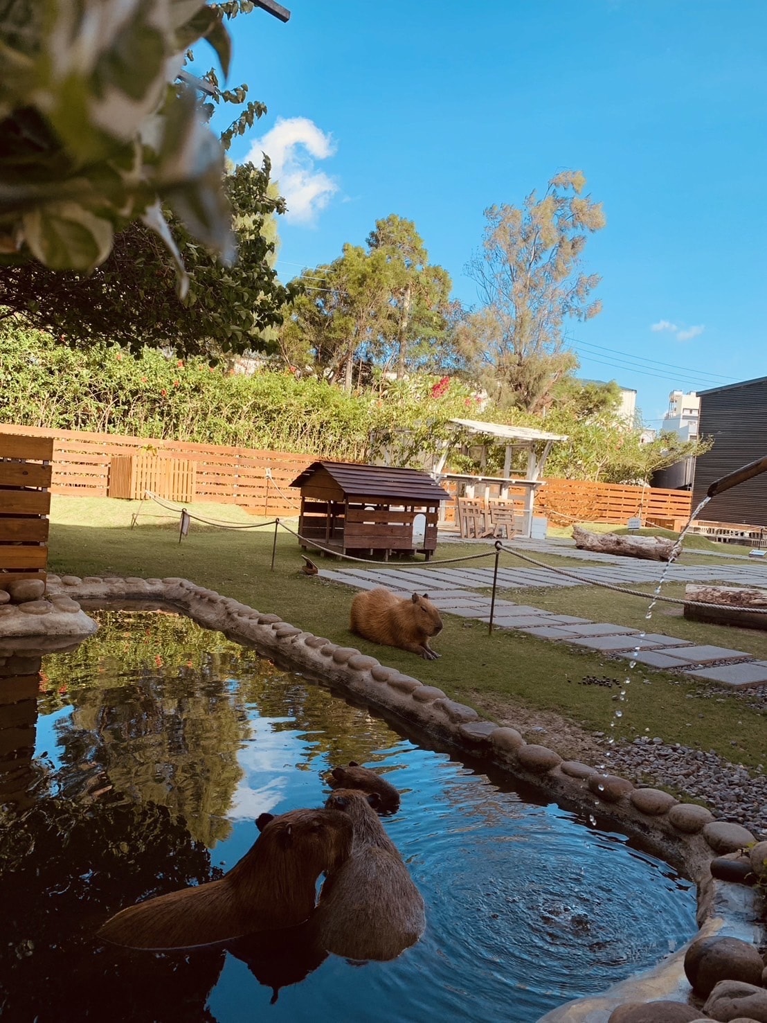 S__40575540.jpg S__40575540.jpg