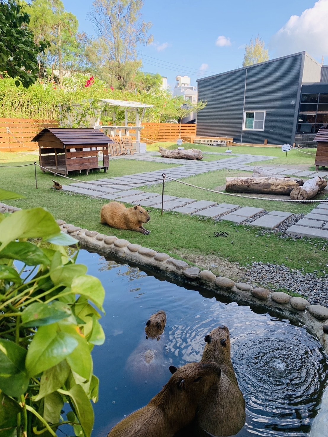 S__40575543.jpg S__40575543.jpg