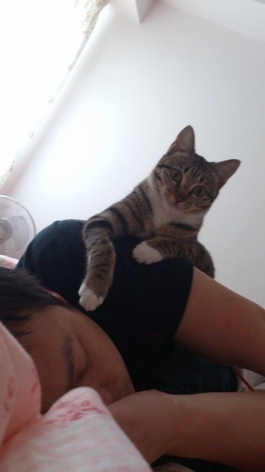 10345125_10152054089247001_1542335876_n