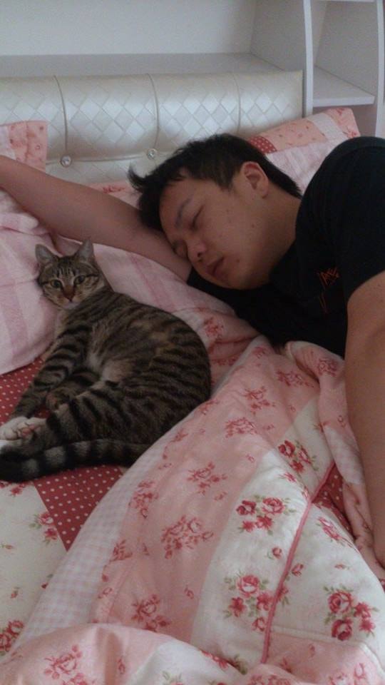 10318687_10152054089137001_1407813605_n