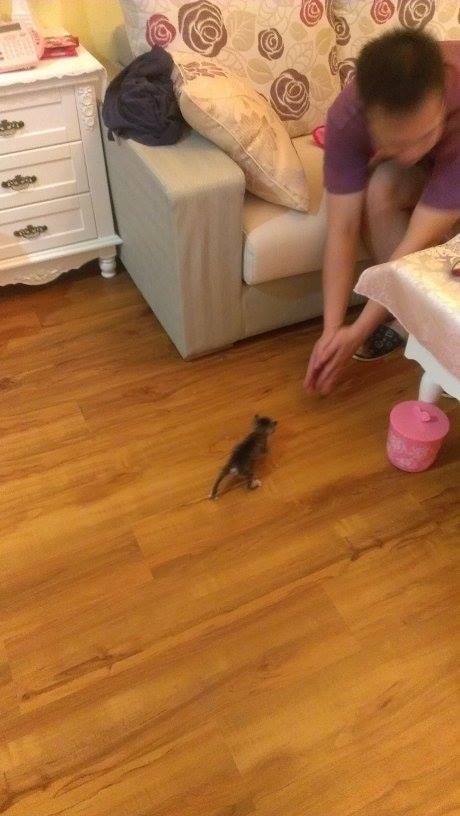 1450274_721177781227090_168801807_n