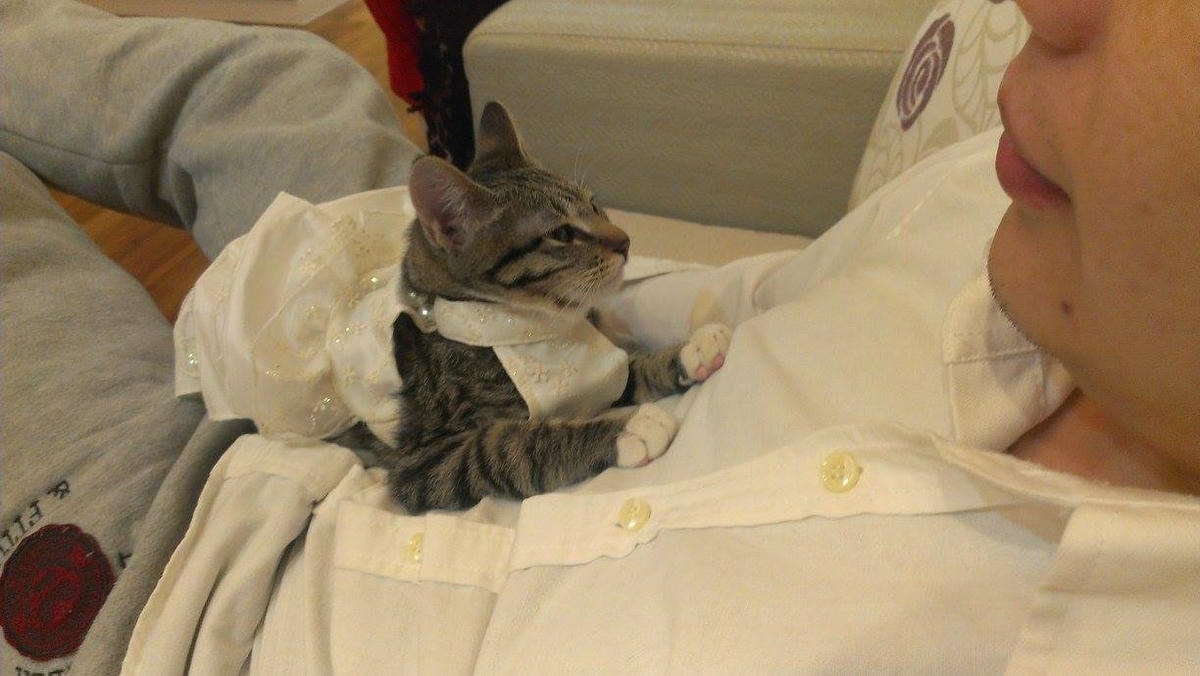 10256133_821807557830778_6158228047572982727_o