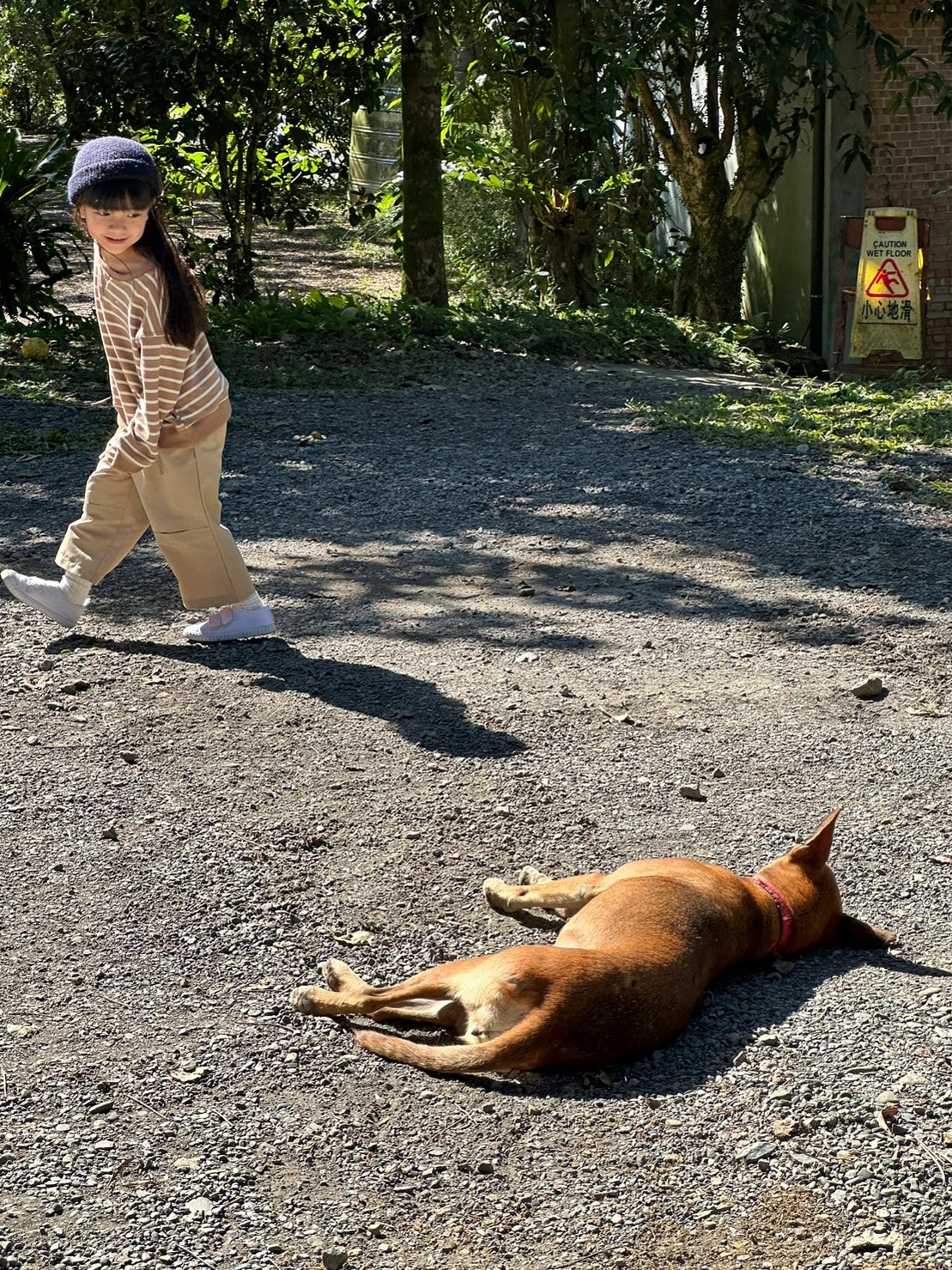 20231124_231124_1_0 - 複製.jpg