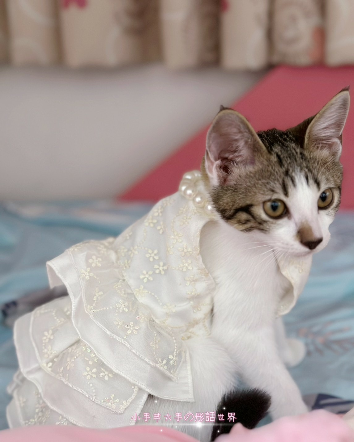 20231018_231018.jpg 20231018_231018.jpg