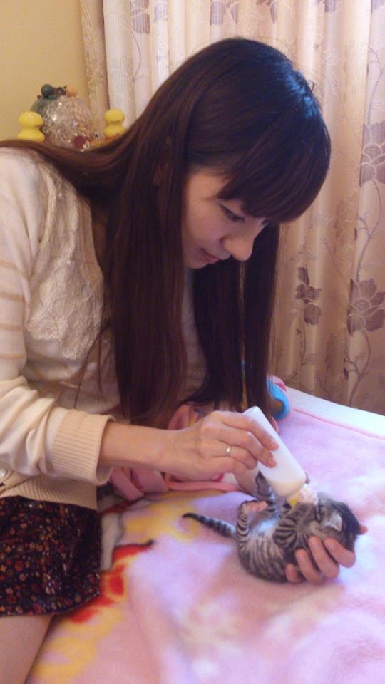 1377599_216440055190557_1376643357_n