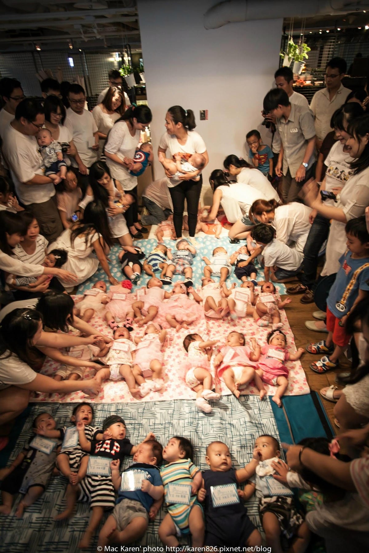 11393289_1088757404474129_1024585668231046194_o