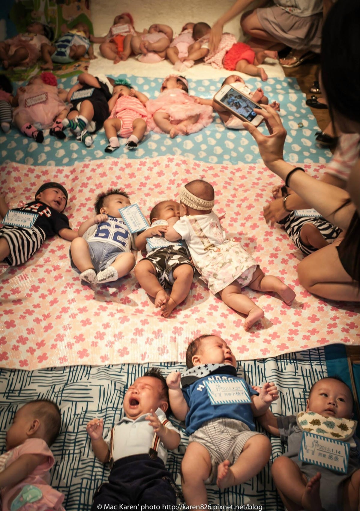 10988507_1088756414474228_3100860902470669458_o