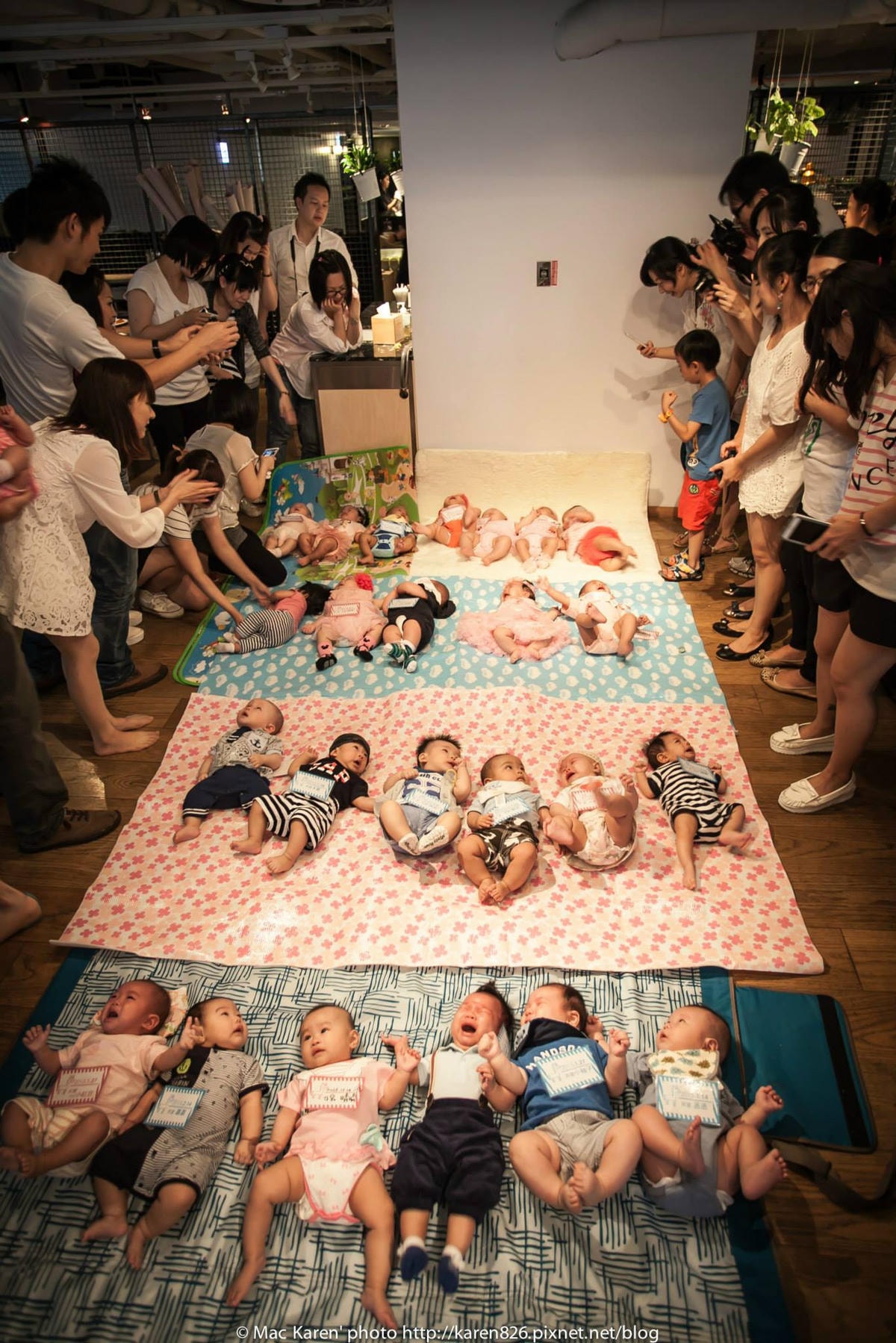 11289388_1088758614474008_723053173586901562_o