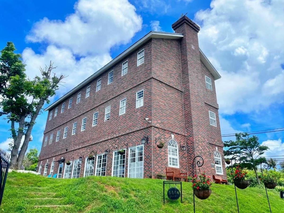 勿忘我_240418_14.jpg 勿忘我_240418_14.jpg