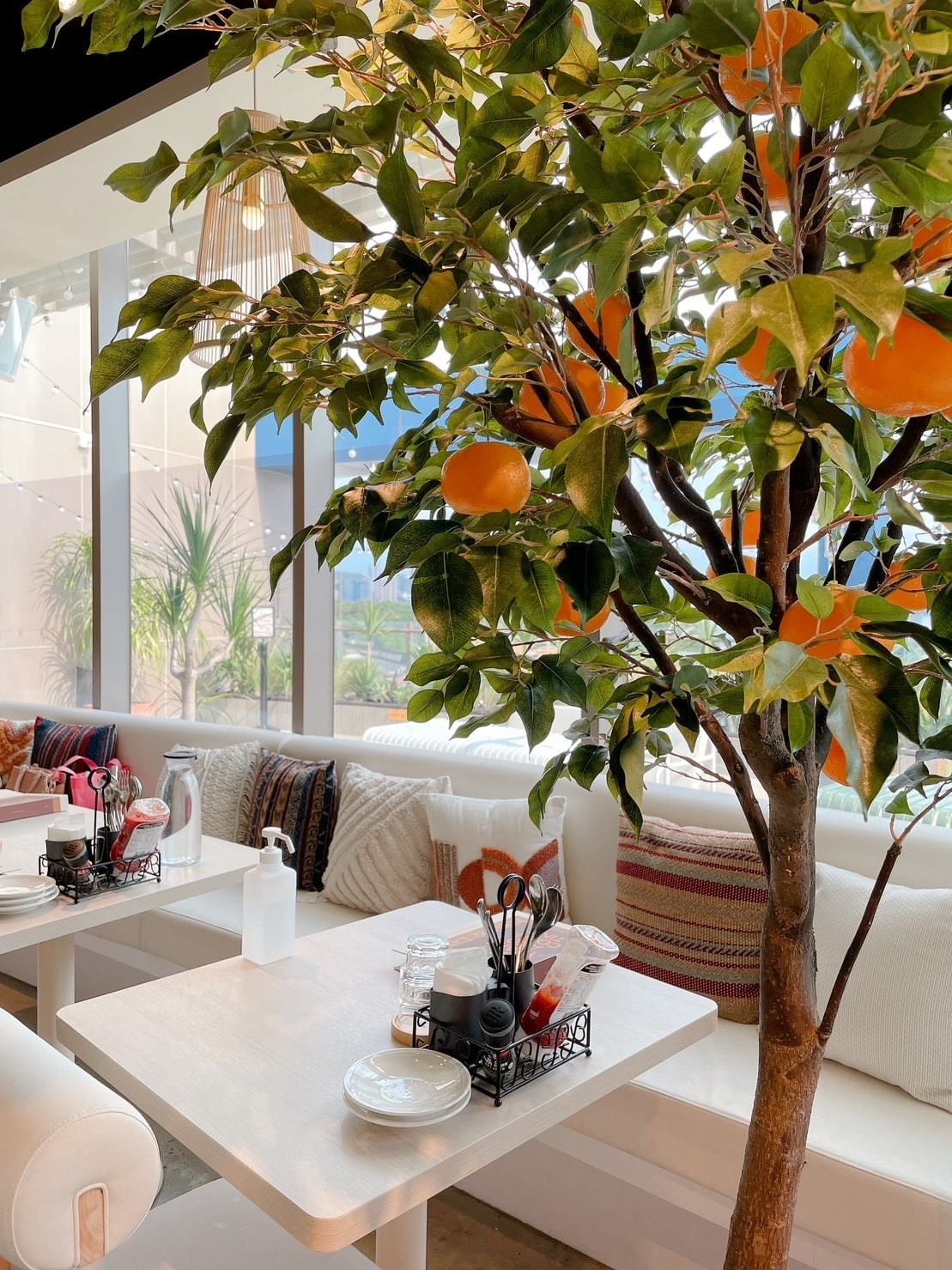 S__3784830.jpg S__3784830.jpg