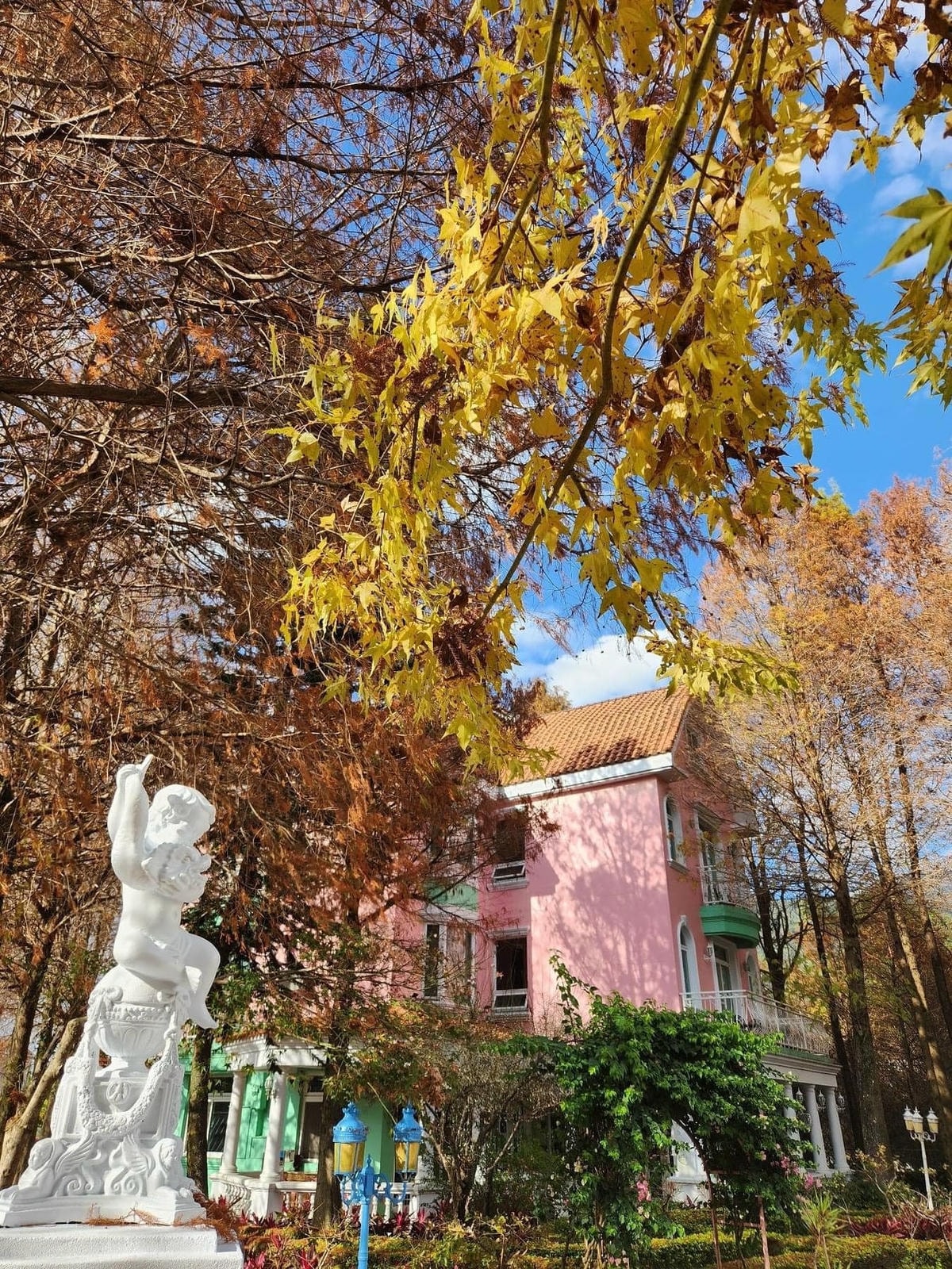 356063536_800036081692809_7528189944646355450.jpg 356063536_800036081692809_7528189944646355450.jpg