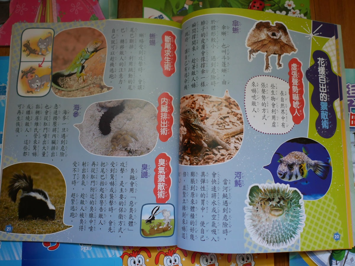 P1660279.JPG P1660279.JPG