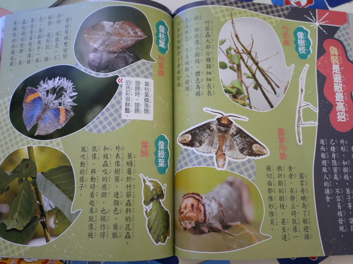 P1660421.JPG P1660421.JPG