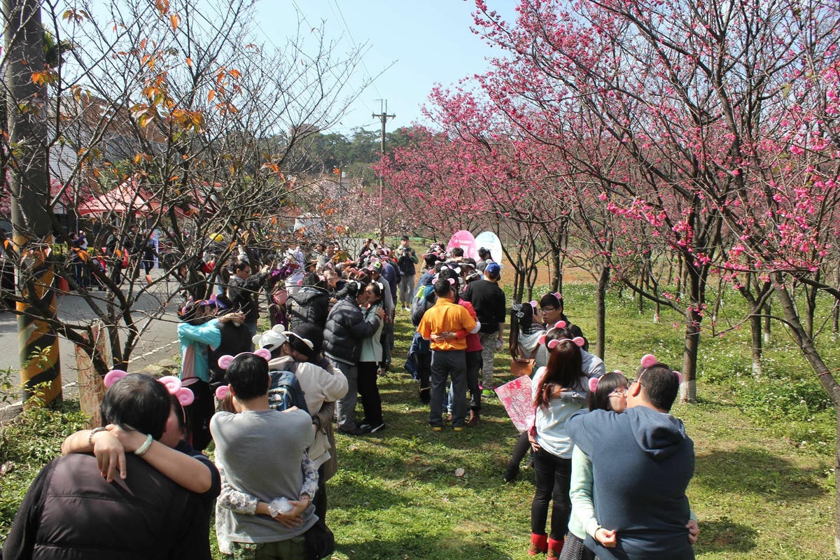 10847276_411314442357200_8296550651605075450_o (1)