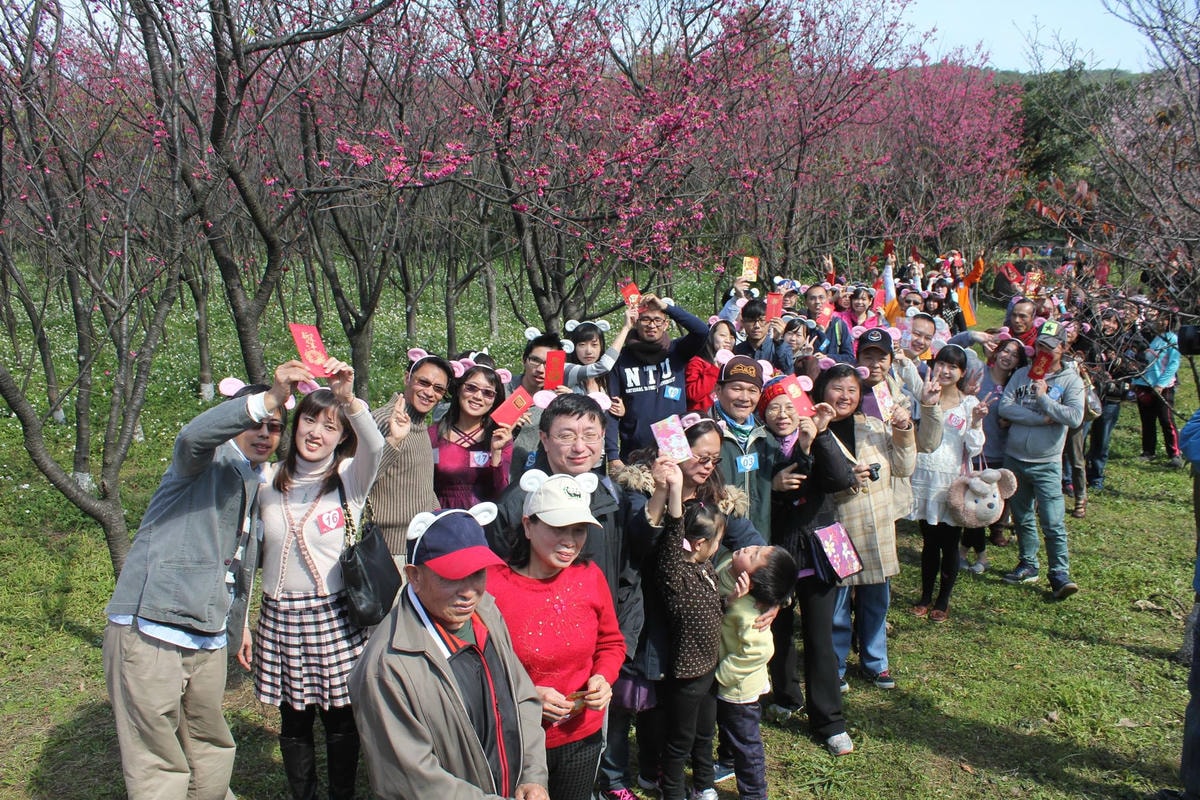 10443135_411314429023868_4220919551766886172_o (1)