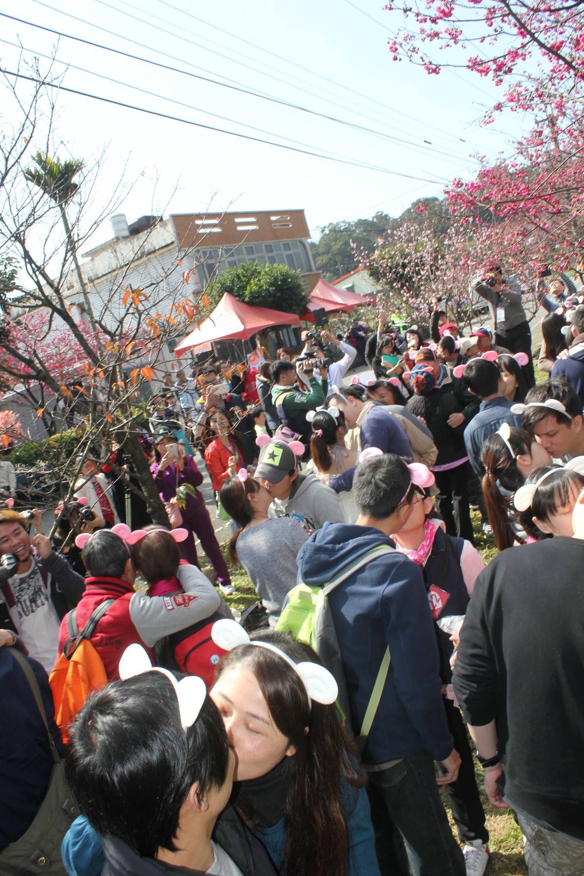 10873611_411314282357216_1502919310385058156_o