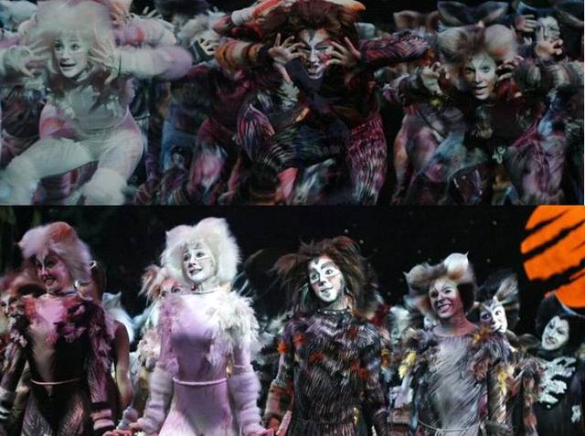 全本音樂劇- 貓cats - 第17張圖