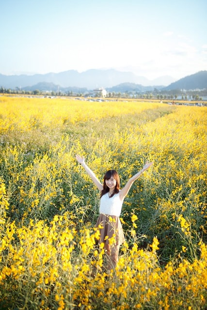 連續假期part6【台中】 新社花毯節&私房景點~情人橋 - 第7張圖