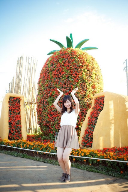 連續假期part6【台中】 新社花毯節&私房景點~情人橋 - 第25張圖