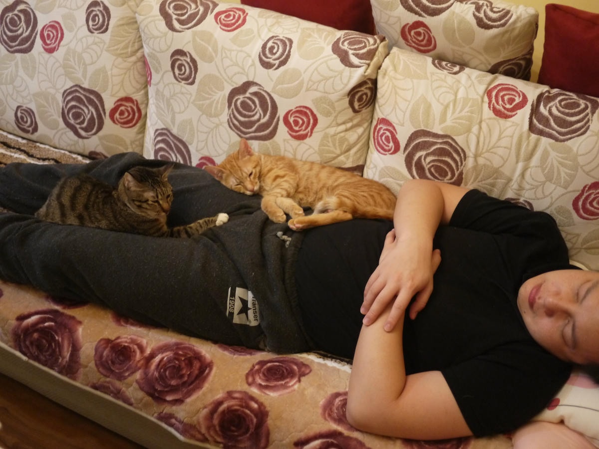 P1930636 - 複製.JPG