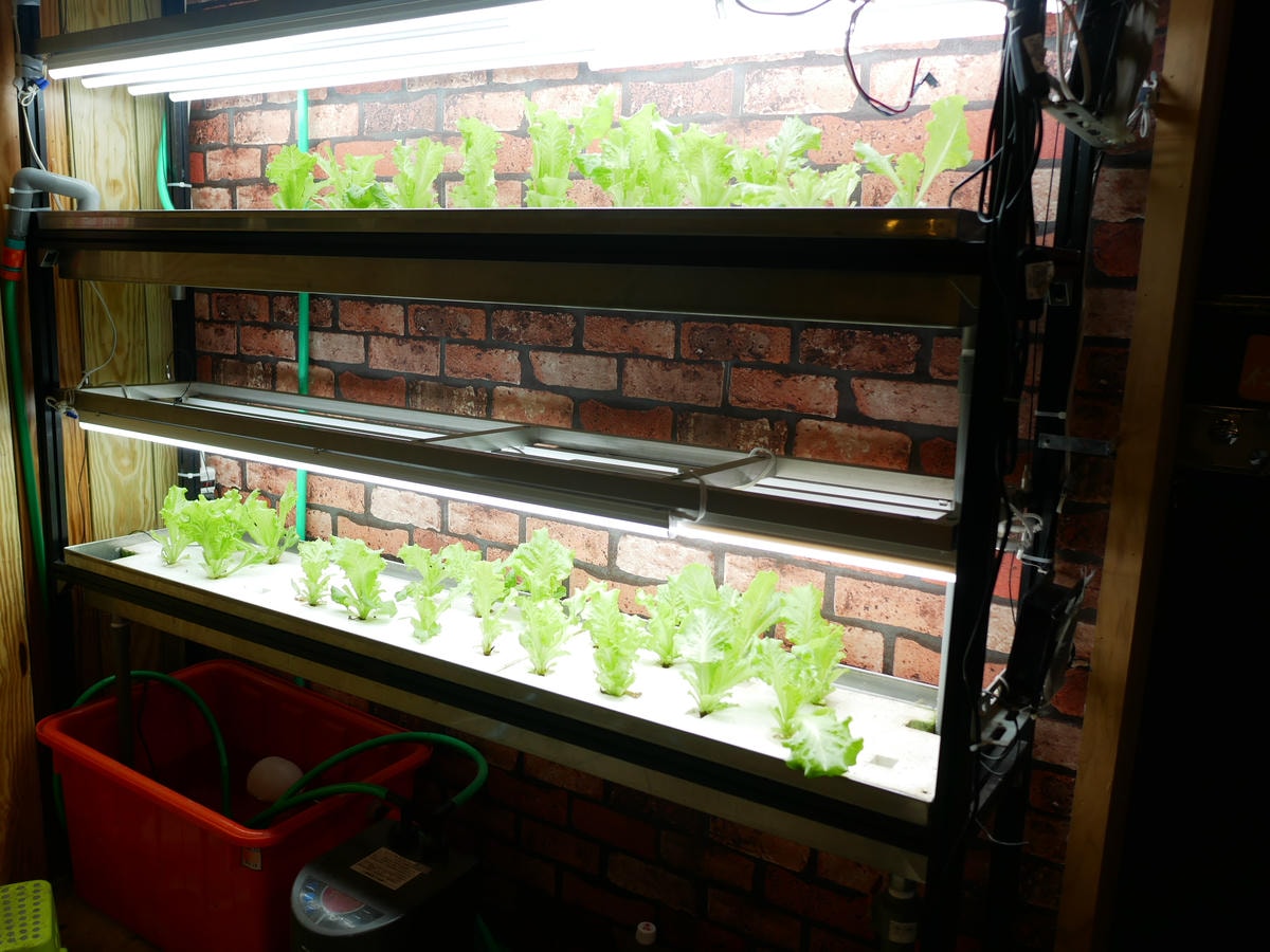 P1280132.JPG P1280132.JPG