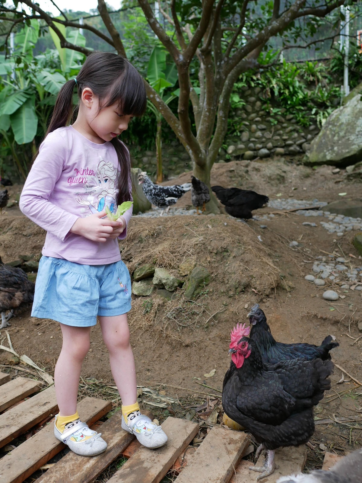 P1270888.JPG P1270888.JPG