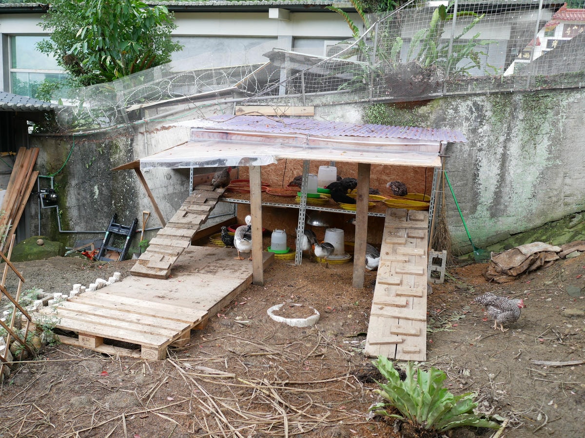 P1270929.JPG P1270929.JPG