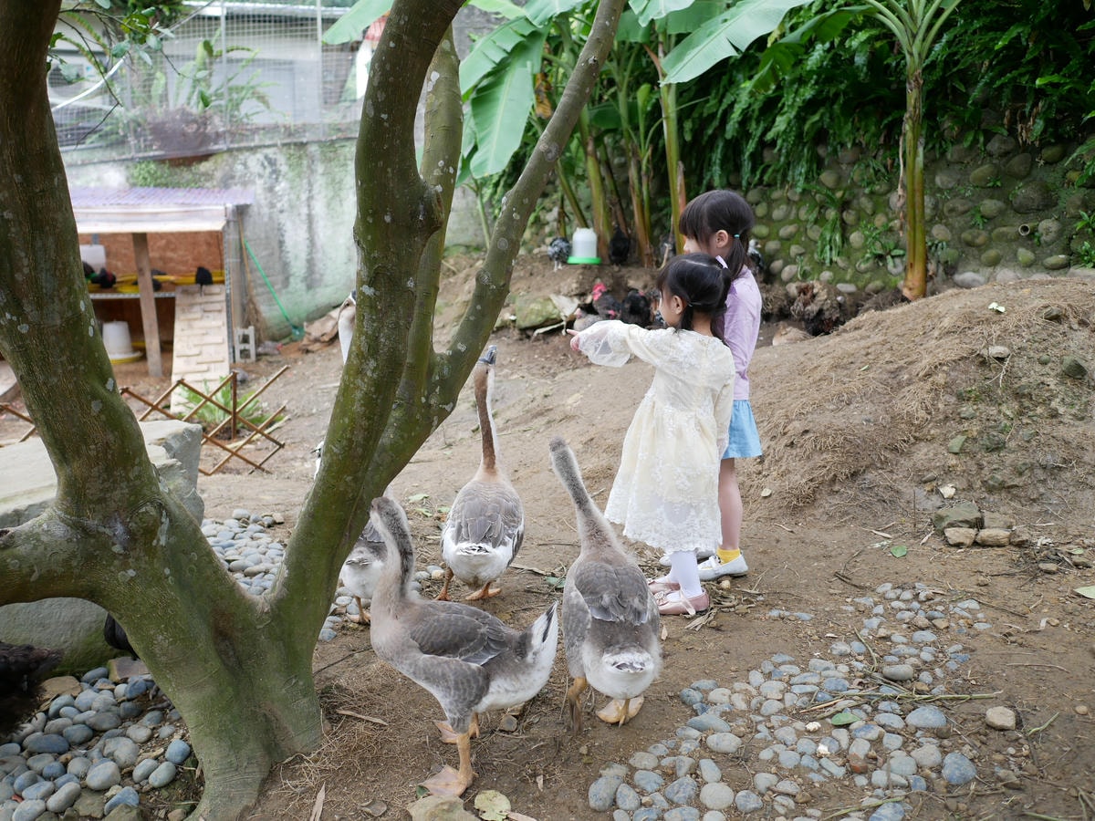 P1280016.JPG P1280016.JPG