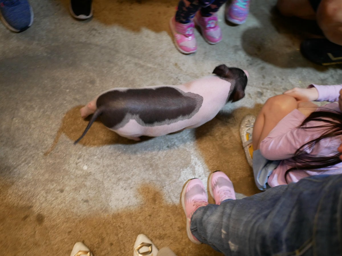 P1280125.JPG P1280125.JPG