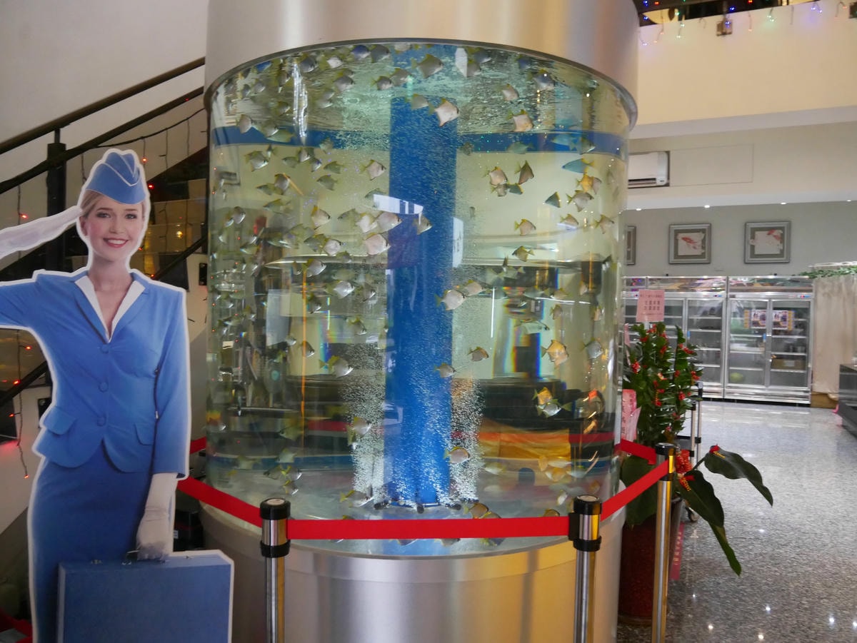 P1500734 - 複製.JPG