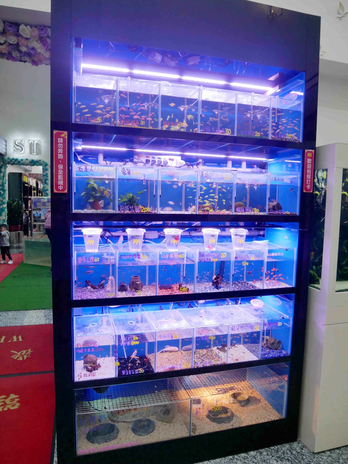 P1500756 - 複製.JPG