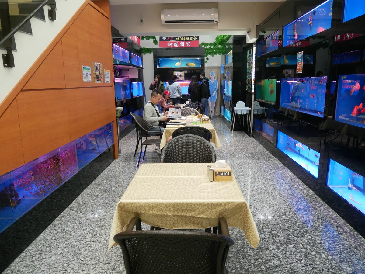 P1500744 - 複製.JPG