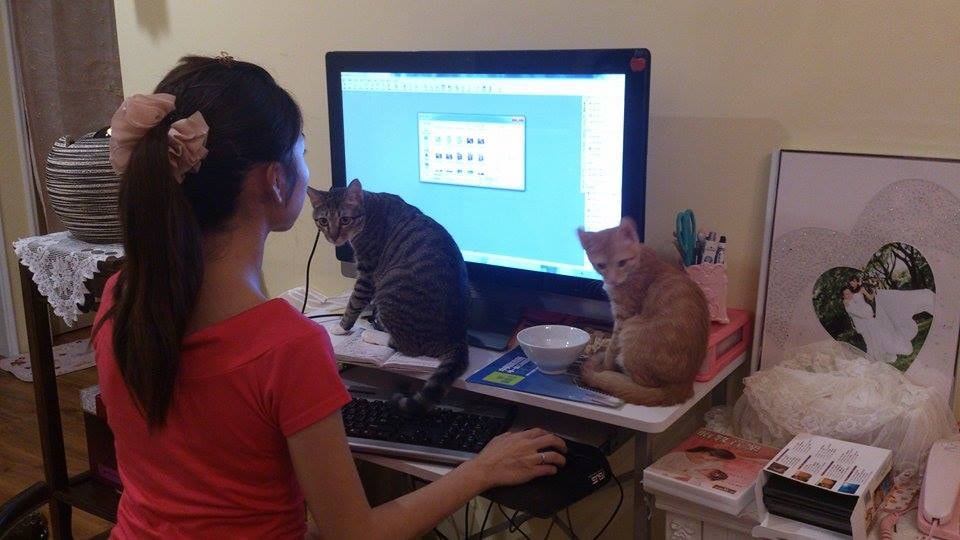 10581088_10152225203552001_578624586_n