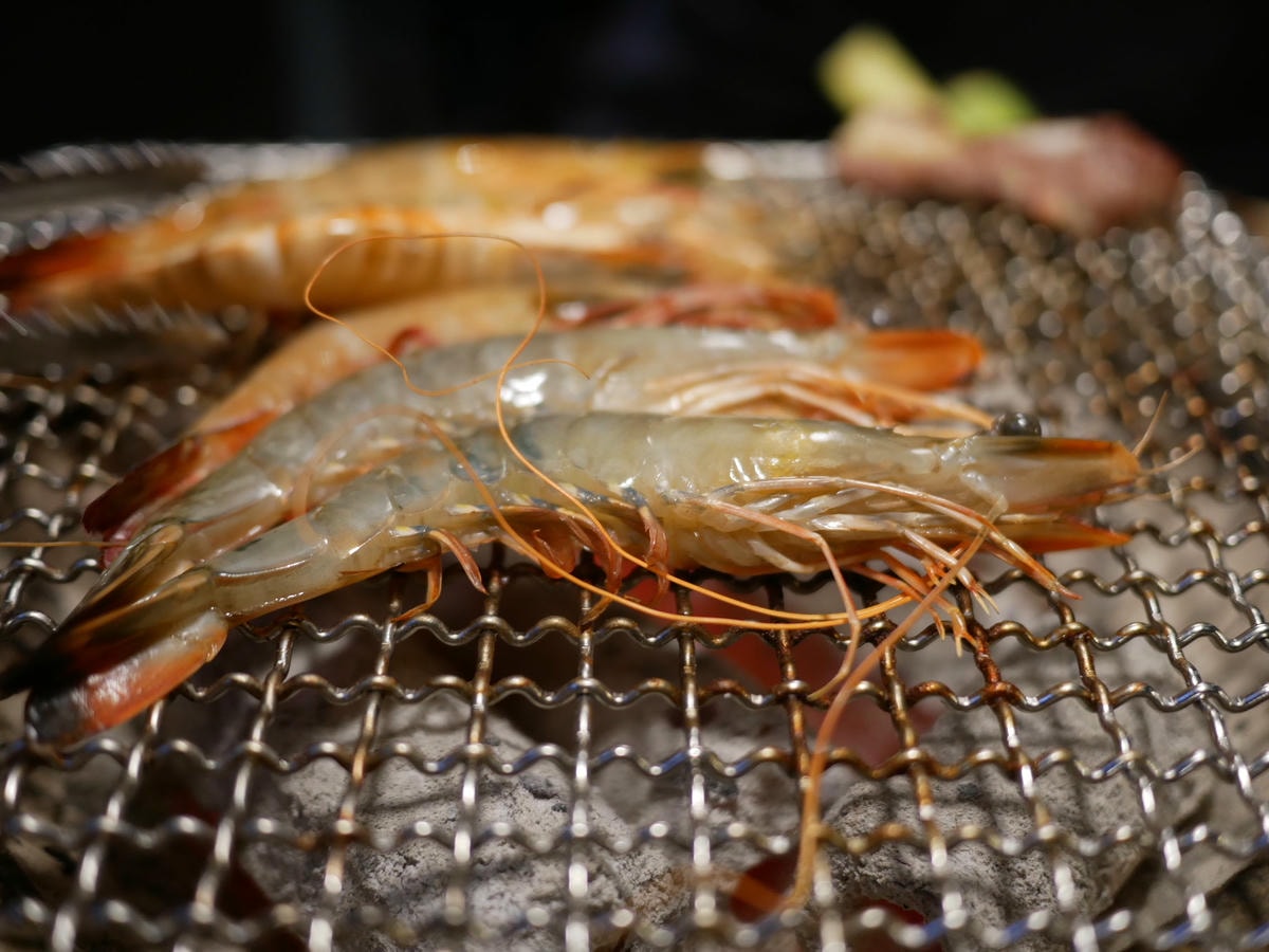 P1430792.JPG P1430792.JPG