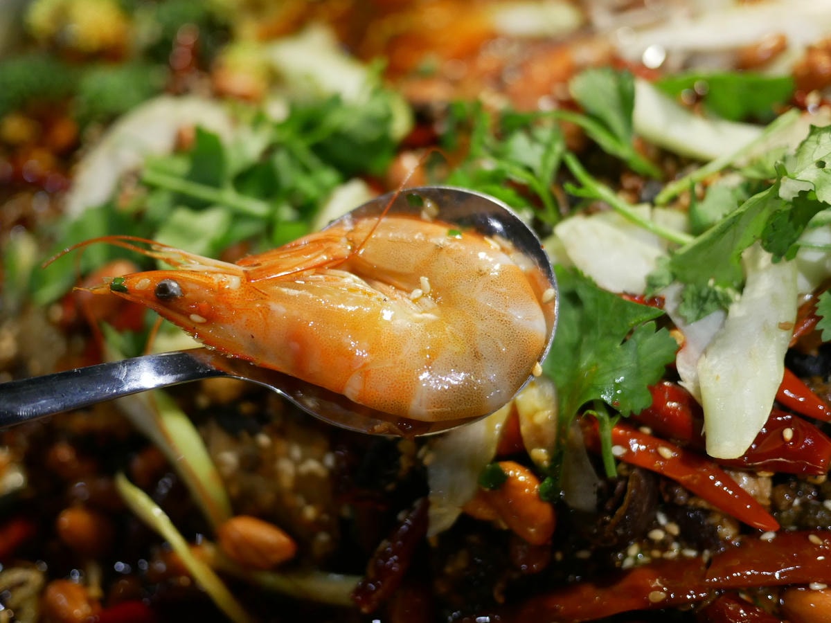 P1430899.JPG P1430899.JPG