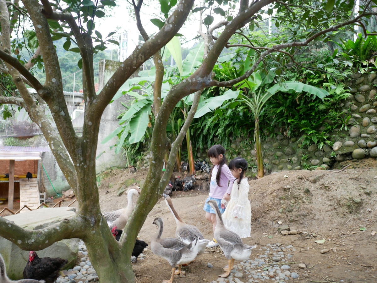 P1280013.JPG P1280013.JPG