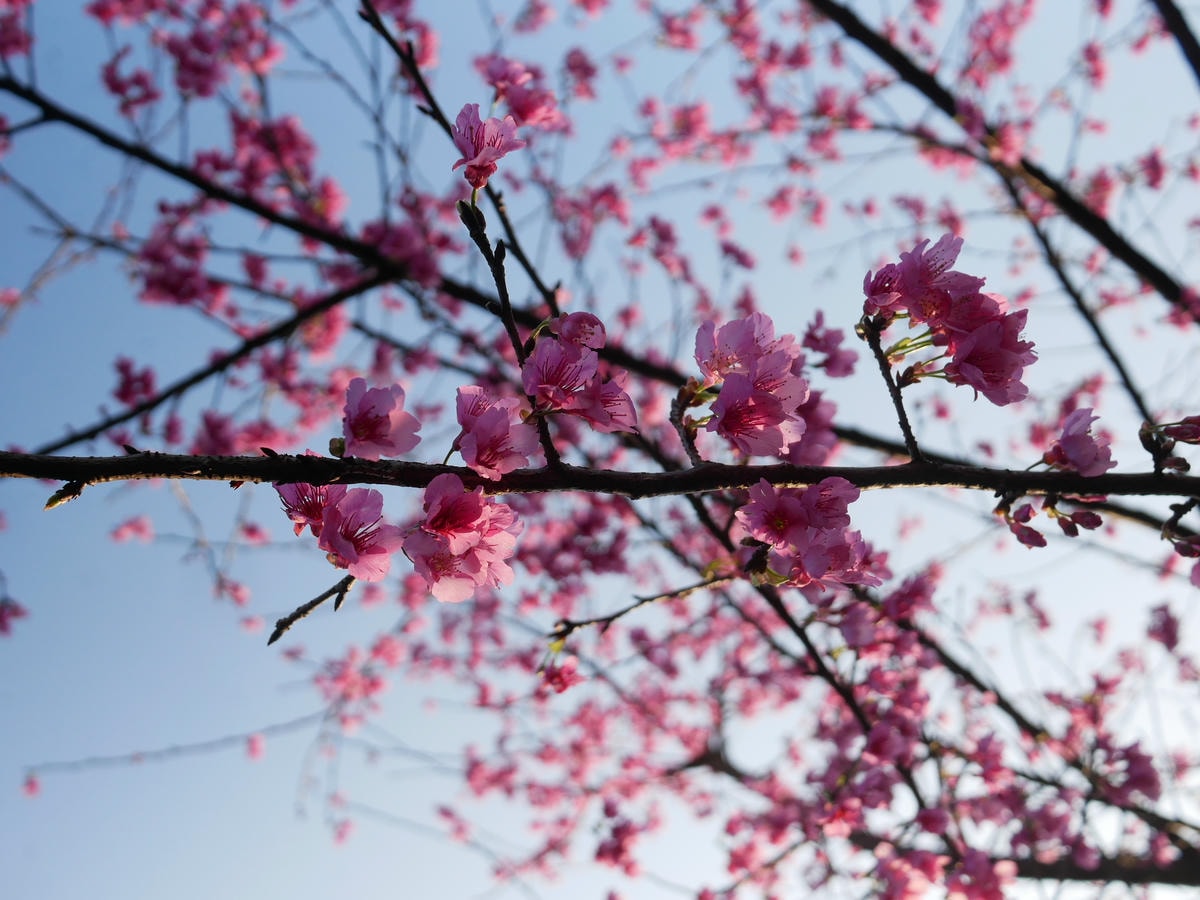 P1520836.JPG P1520836.JPG