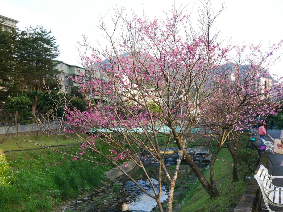 P1520830.JPG P1520830.JPG