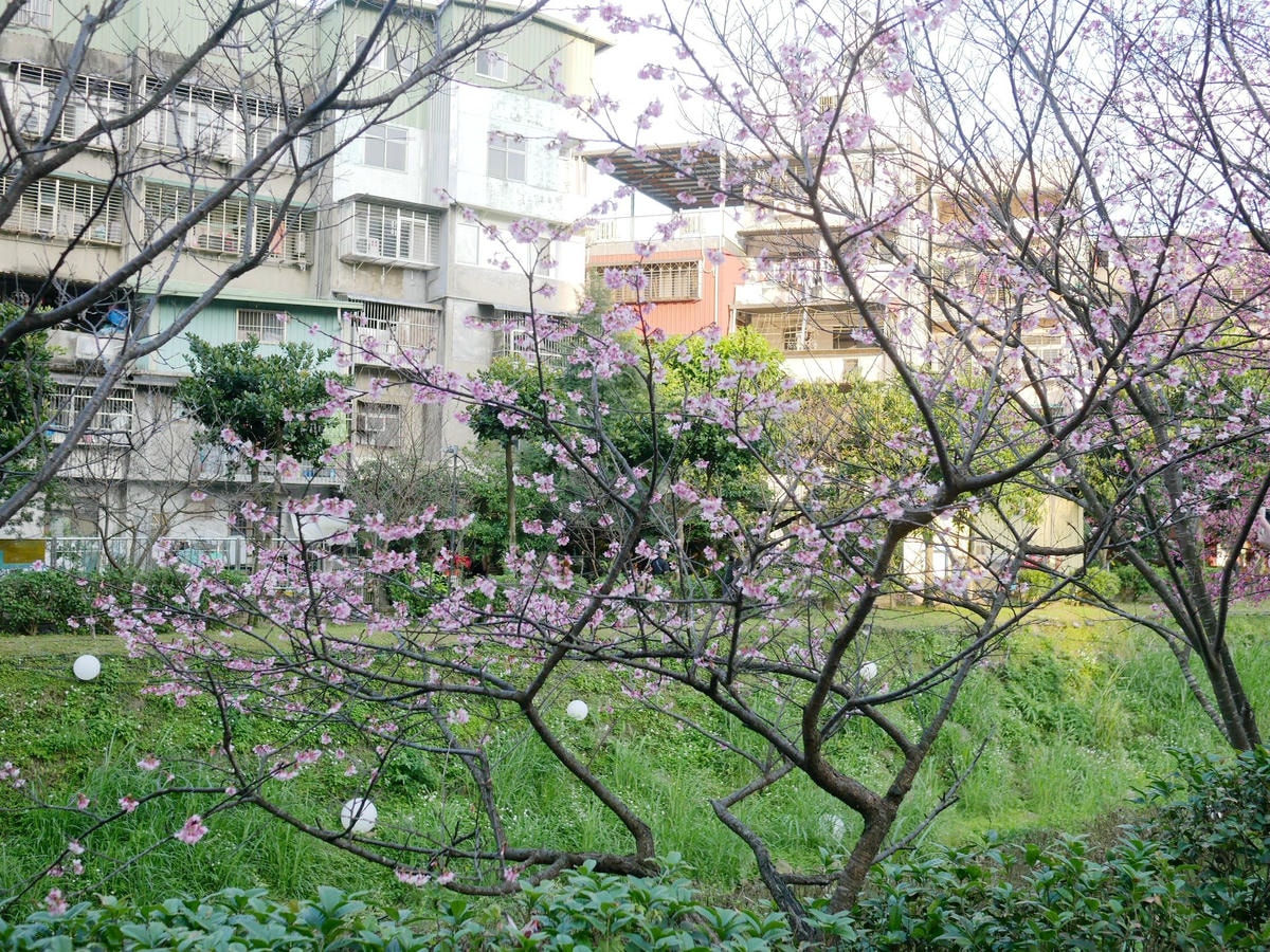 P1520840.JPG P1520840.JPG