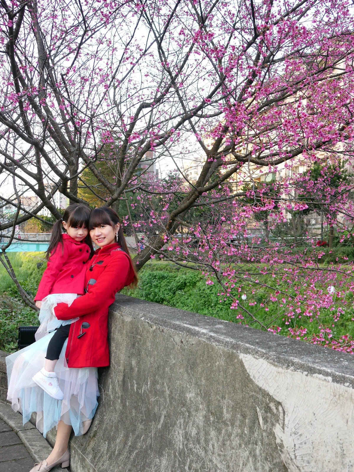 P1520859.JPG P1520859.JPG