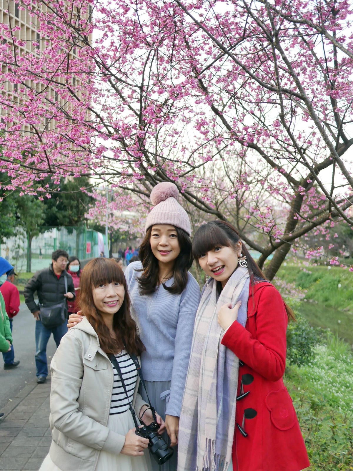 P1520864.JPG P1520864.JPG