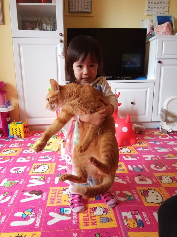 15179223_10153928440282001_5065169947760150038_n